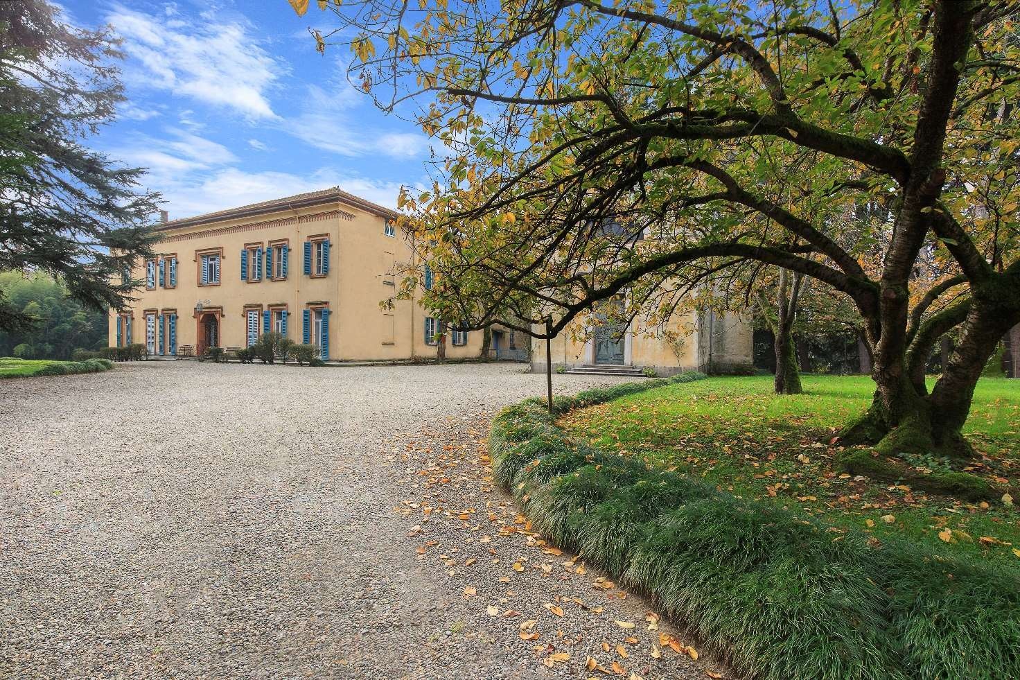 Gravel courtyard with centuries-old tree