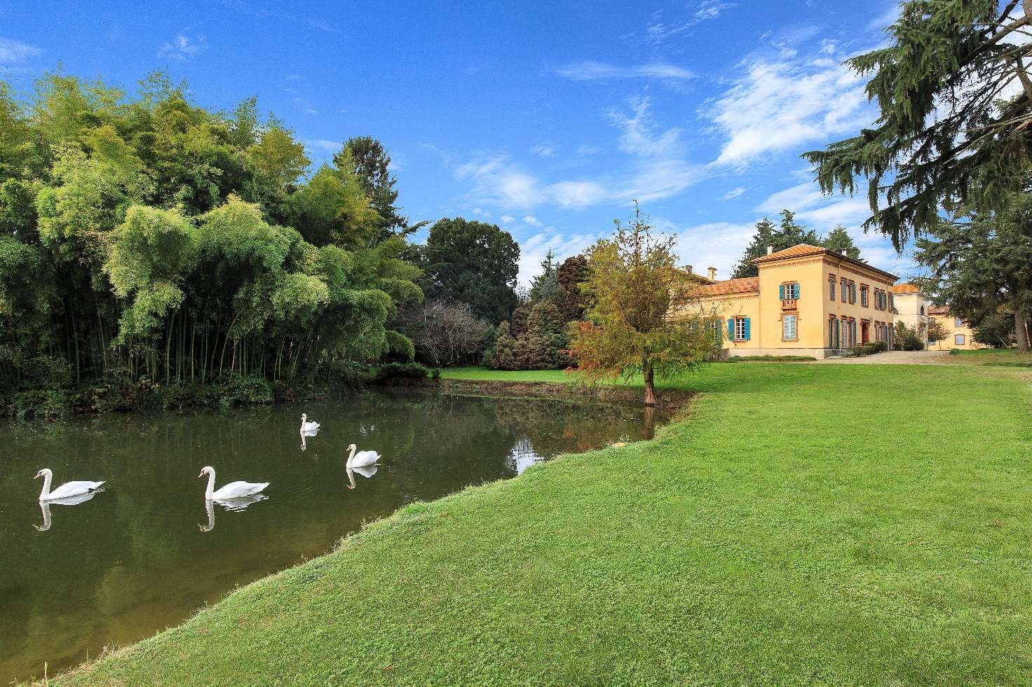 Pond with swans and castle façade
